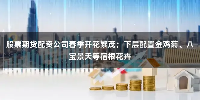 股票期货配资公司春季开花繁茂；下层配置金鸡菊、八宝景天等宿根花卉