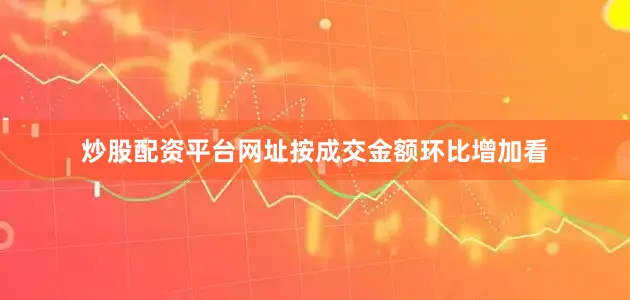 炒股配资平台网址按成交金额环比增加看