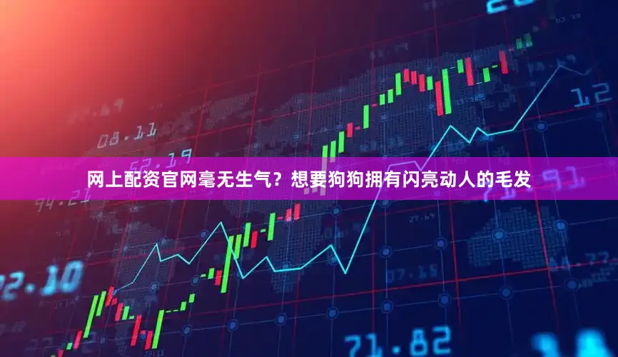 网上配资官网毫无生气？想要狗狗拥有闪亮动人的毛发