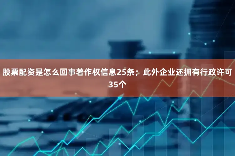 股票配资是怎么回事著作权信息25条；此外企业还拥有行政许可35个