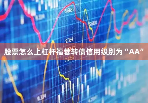 股票怎么上杠杆福蓉转债信用级别为“AA”