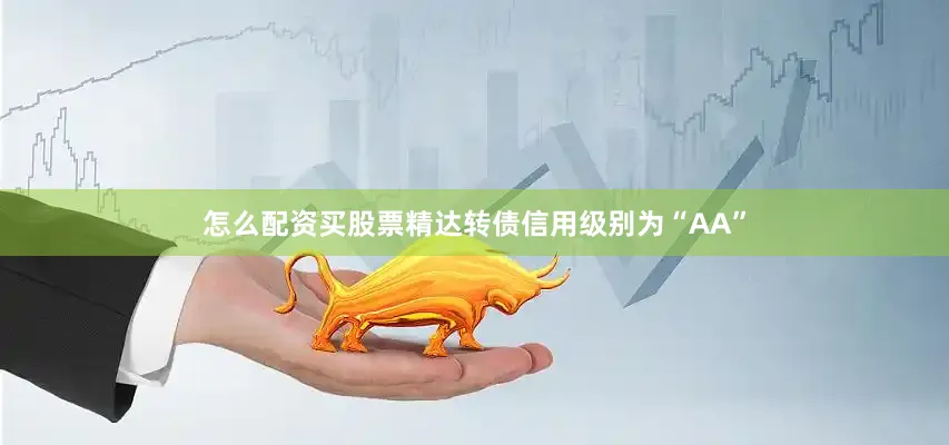 怎么配资买股票精达转债信用级别为“AA”