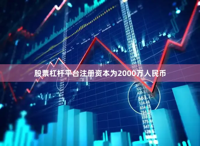 股票杠杆平台注册资本为2000万人民币