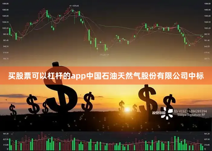 买股票可以杠杆的app中国石油天然气股份有限公司中标