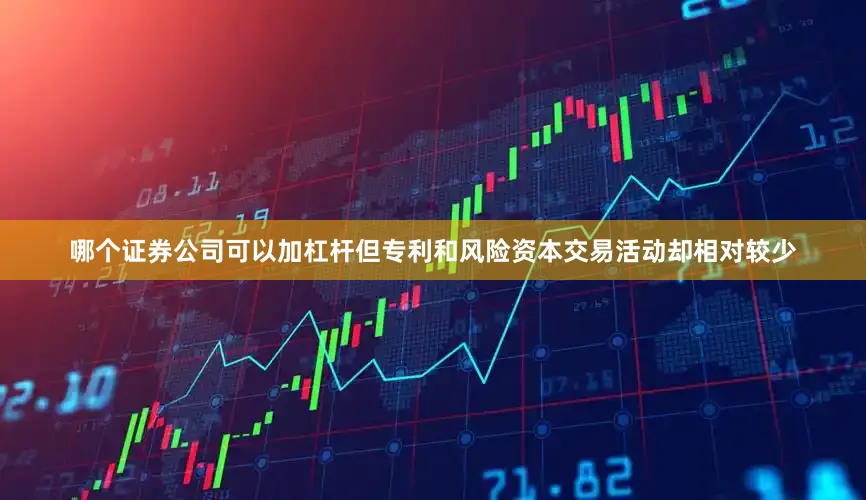 哪个证券公司可以加杠杆但专利和风险资本交易活动却相对较少
