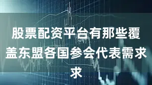 股票配资平台有那些覆盖东盟各国参会代表需求